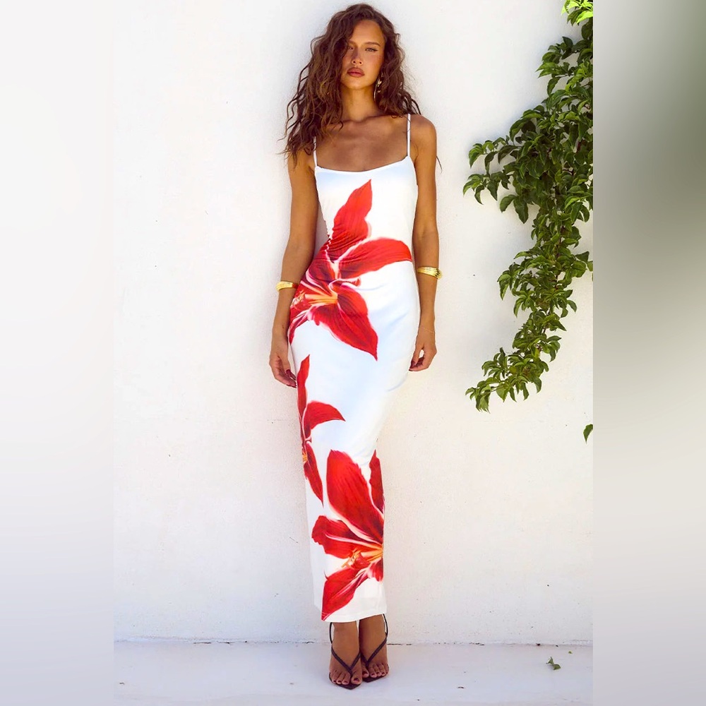 Runaway The Label Crimson Lily Dress from Revolve - NWT